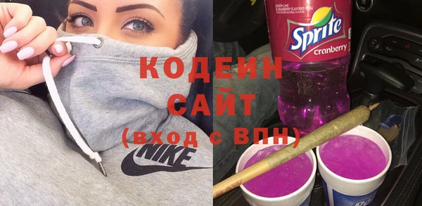 амфетамин Белокуриха