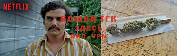 тгк Беломорск