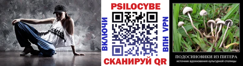 Купить закладки  Арамиль  Псилоцибиновые грибы GOLDEN TEACHER 